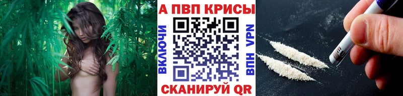 Alpha-PVP СК  наркотики  Велиж 