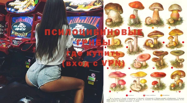 стаф Богородицк