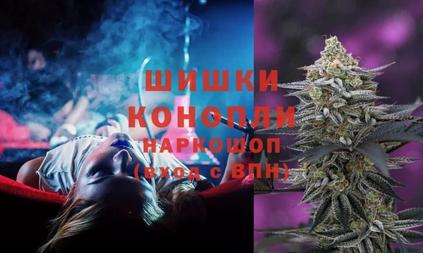 стаф Богородицк