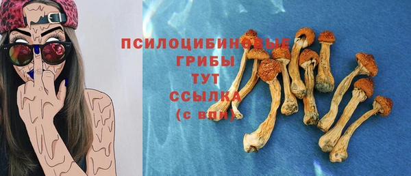 мдпв Богданович