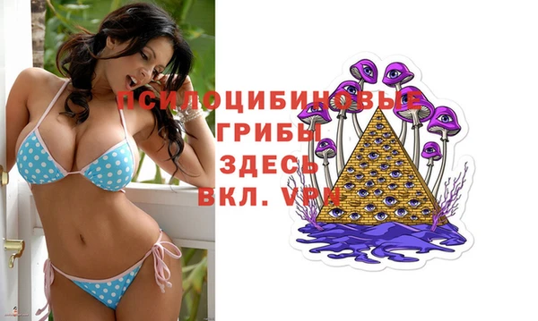 таблы Богородск