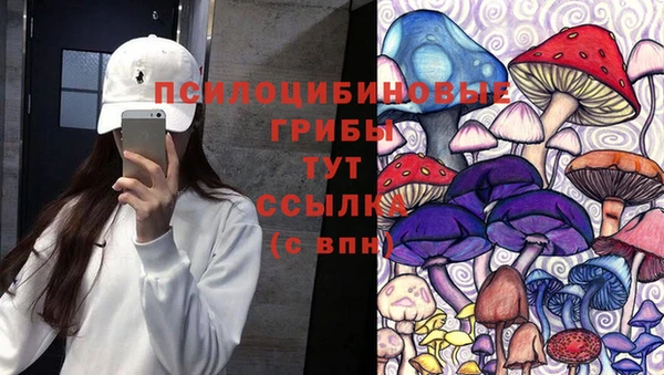 мдпв Богданович
