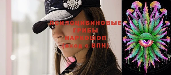 эйфоретик Бородино