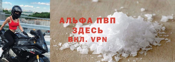 стаф Богородицк