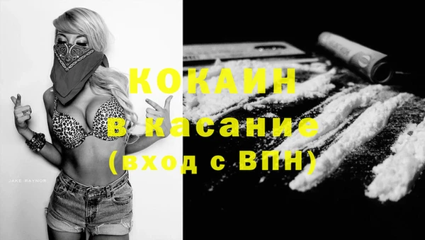 мдпв Богданович